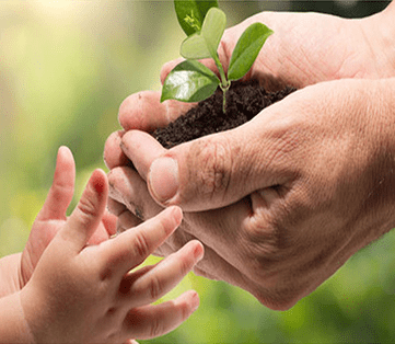 TRANSMISSION OF SHARES